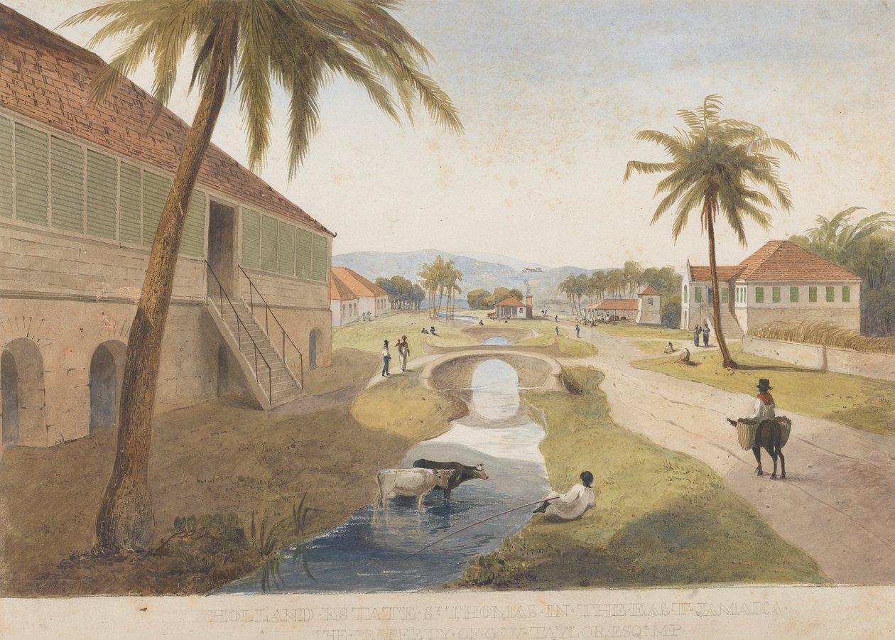 Tenuta Holland, St. Thomas in the East, Giamaica da James Hakewill