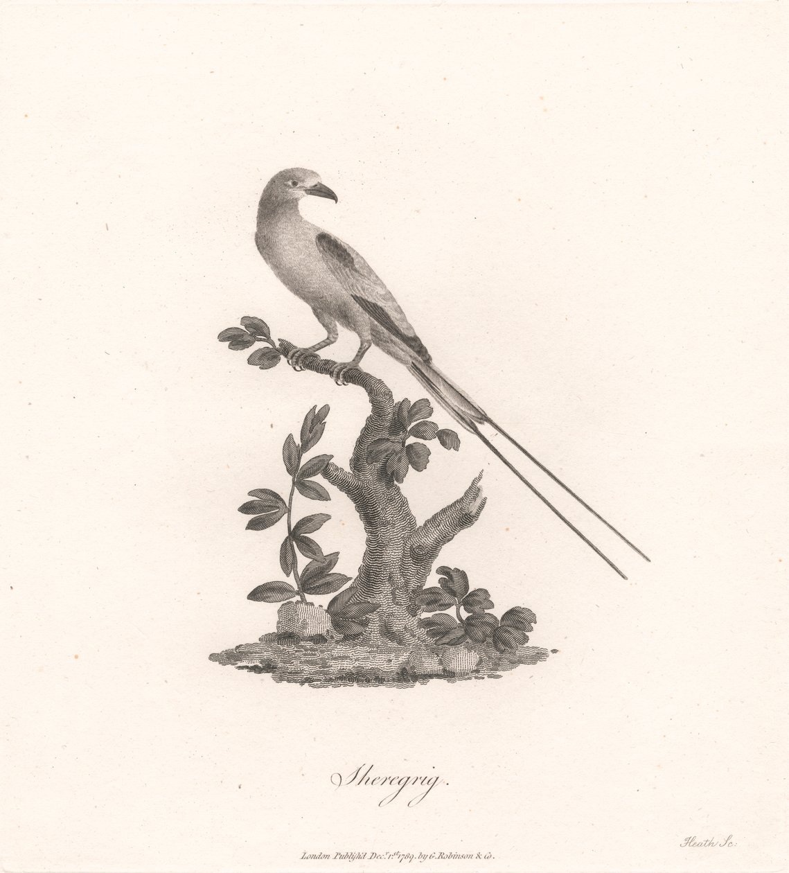 Sheregrig da James Heath