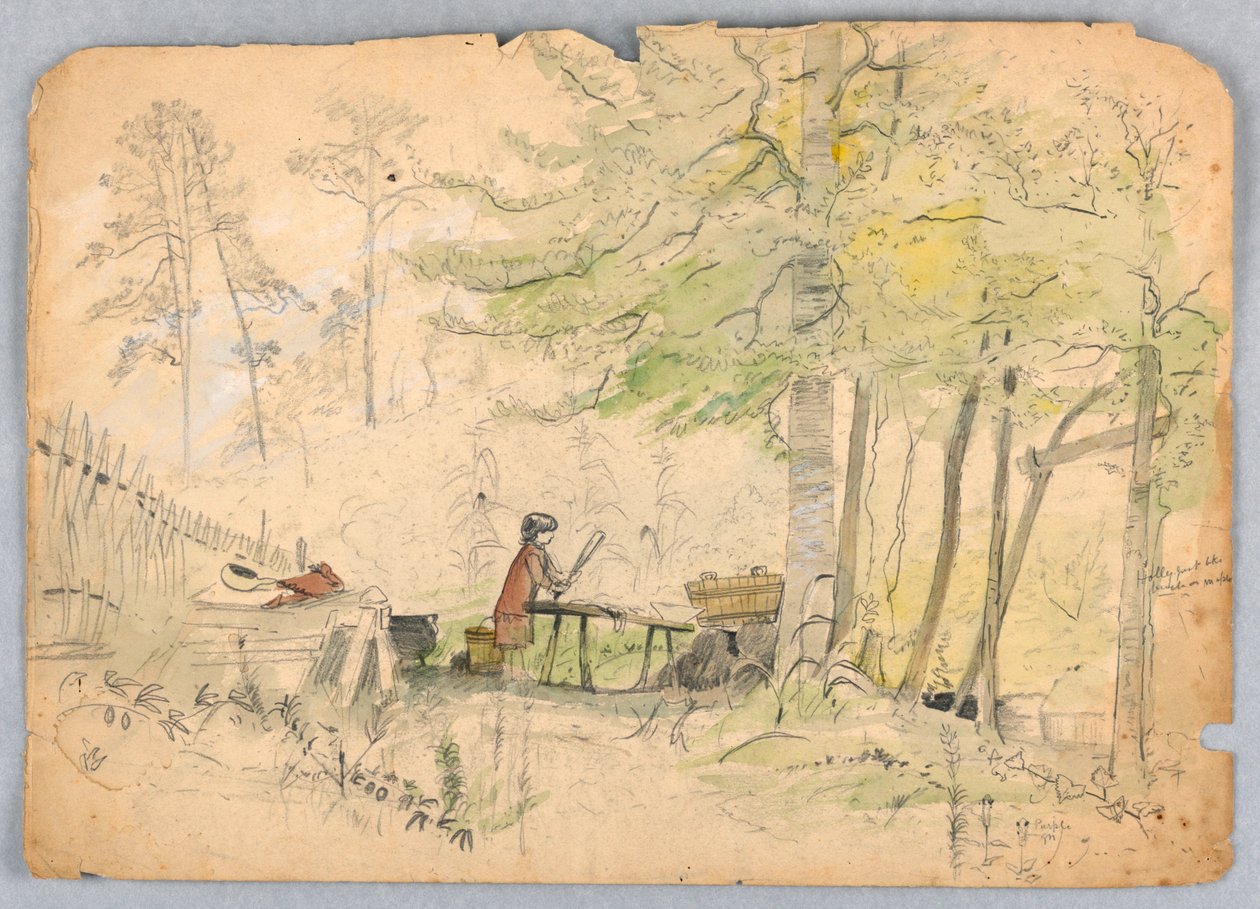 Campo nel bosco da James Henry Moser