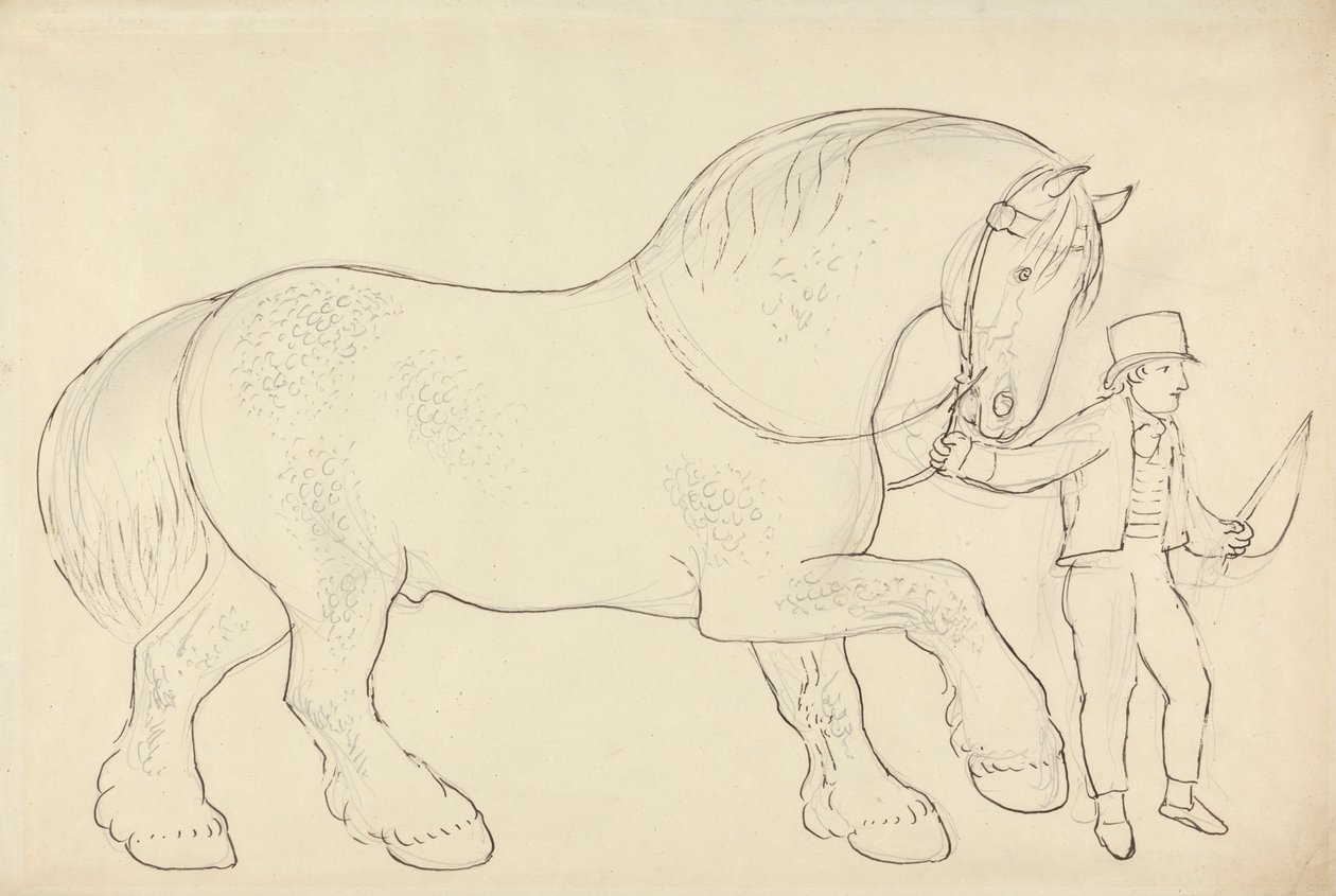 Cavallo da Tiro Condotto da James Howe