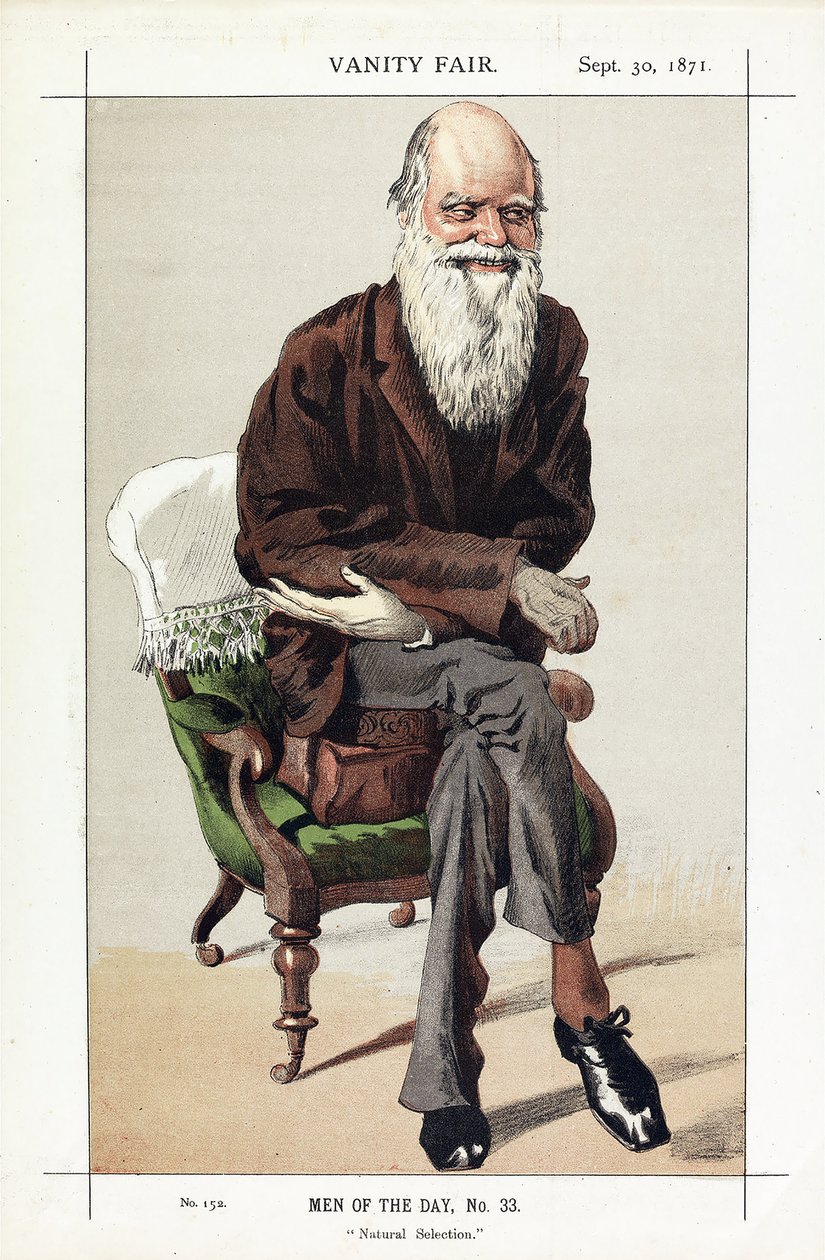 Charles Darwin, Men of the Day, No. 33, Selezione naturale, da Vanity Fair, pub. 1871 da James Jacques Joseph Tissot