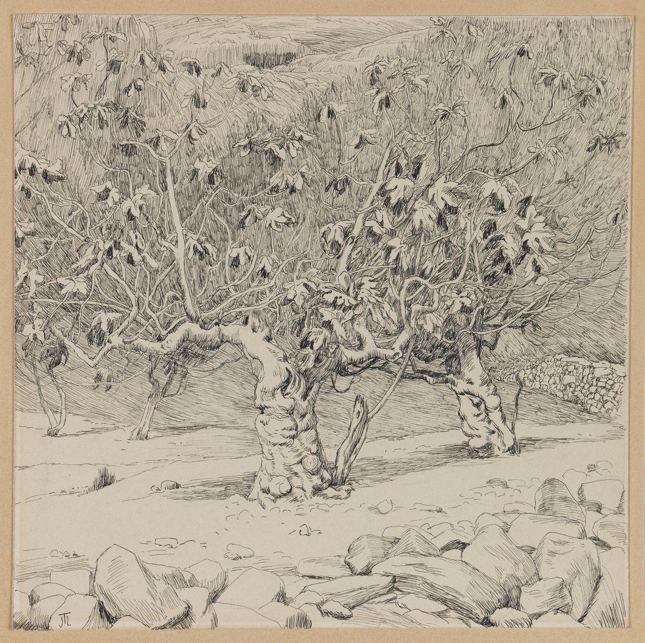 Fico, Valle di Hinnom, illustrazione da La vita di Nostro Signore Gesù Cristo da James Jacques Joseph Tissot