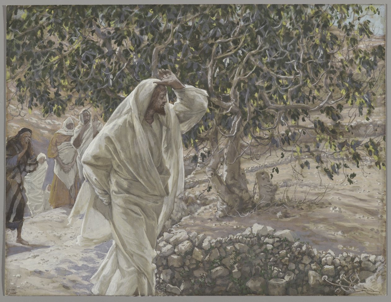 Il fico maledetto, illustrazione da La vita di Nostro Signore Gesù Cristo, 1886-94 da James Jacques Joseph Tissot