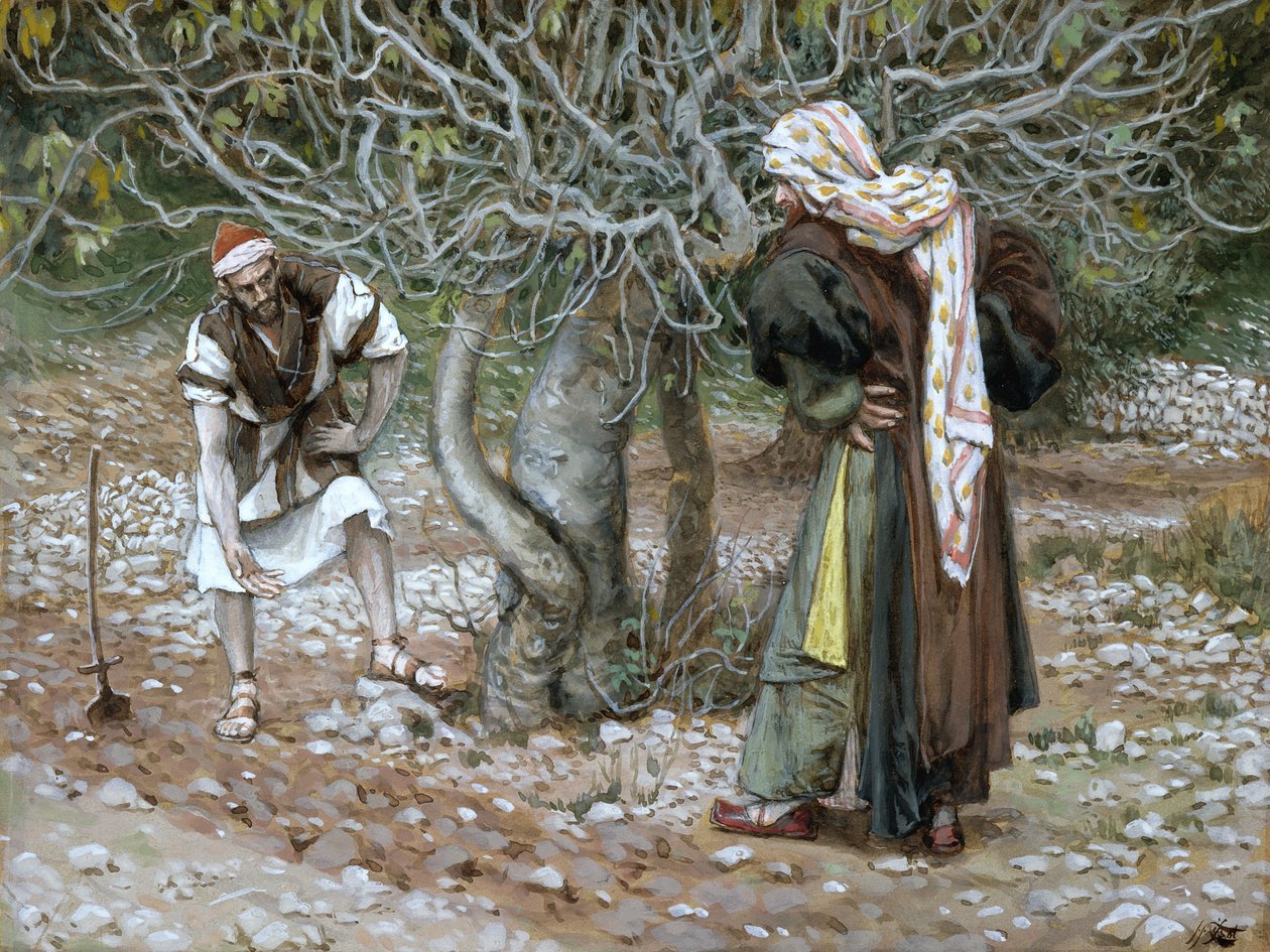Il fico sterile, illustrazione per La vita di Cristo, c.1886-94 da James Jacques Joseph Tissot