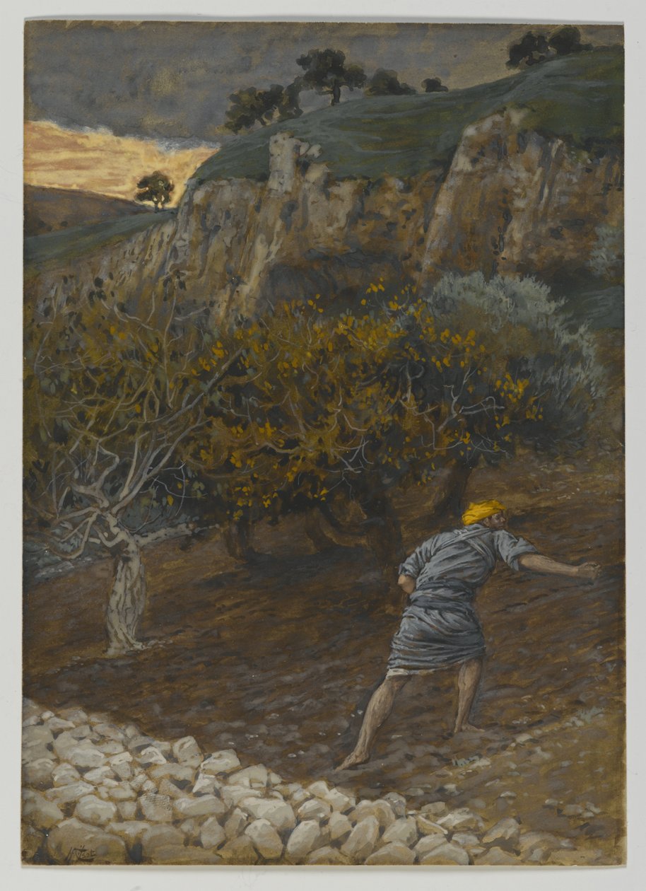 Il nemico che semina, illustrazione da La vita di Nostro Signore Gesù Cristo da James Jacques Joseph Tissot