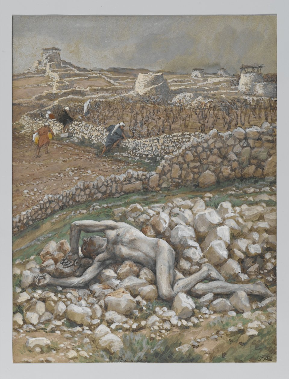 Il figlio della vigna, illustrazione da 