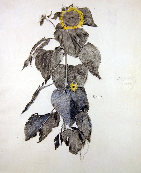 Girasoli da James Kerr Lawson