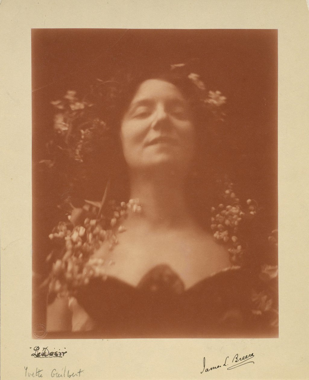 "Le Desir": ritratto di Yvette Guilbert, 1896 da James L. Breese