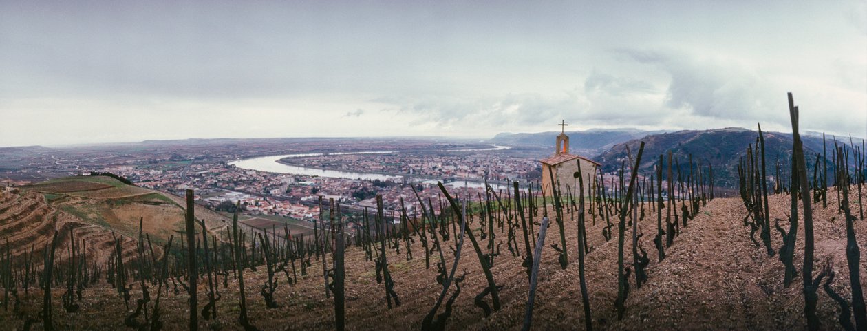 Un vigneto domina la città e il fiume Rodano. SOCIETE PAUL JABOULET AINE VINO... da James L Stanfield