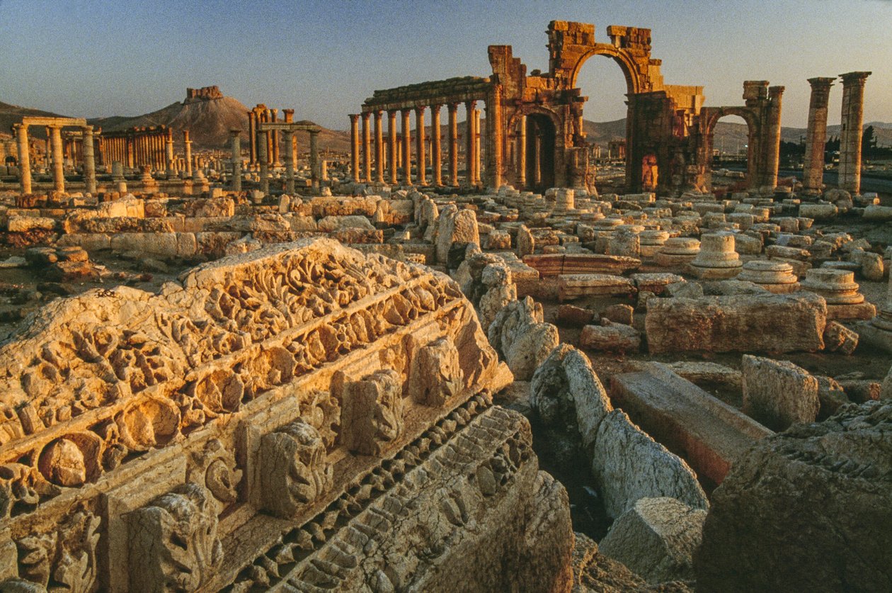 Vista delle rovine romane a Palmira. Palmira, Siria. da James L Stanfield
