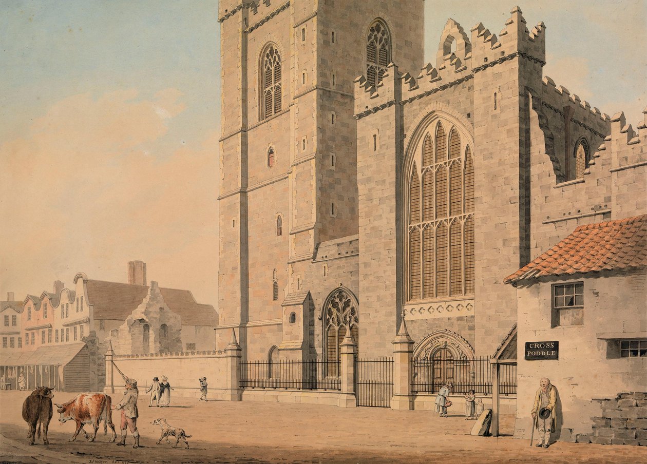 La facciata occidentale della Cattedrale di San Patrizio, Dublino da James Malton