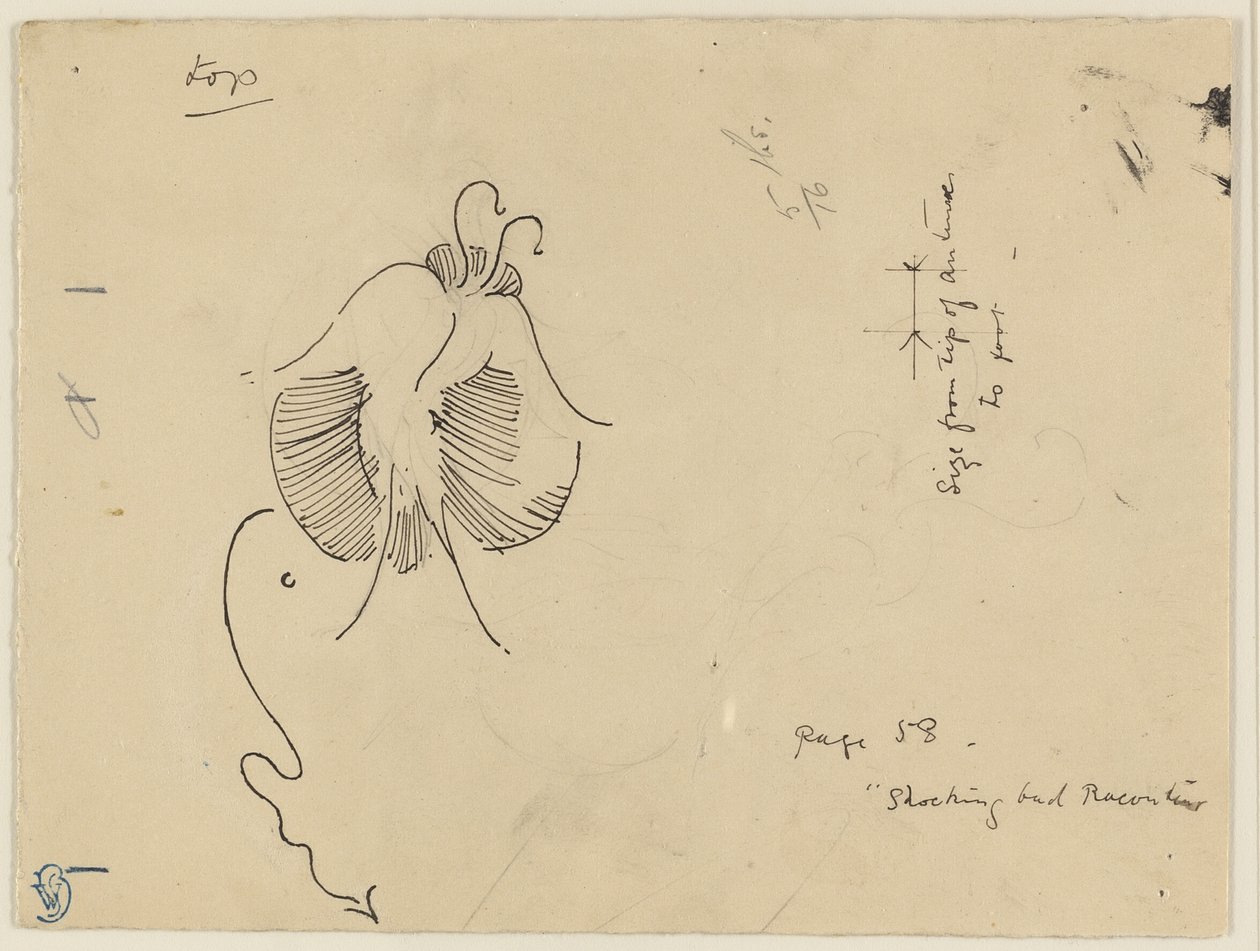 Farfalla (recto); frammento di farfalla (verso) da James McNeill Whistler