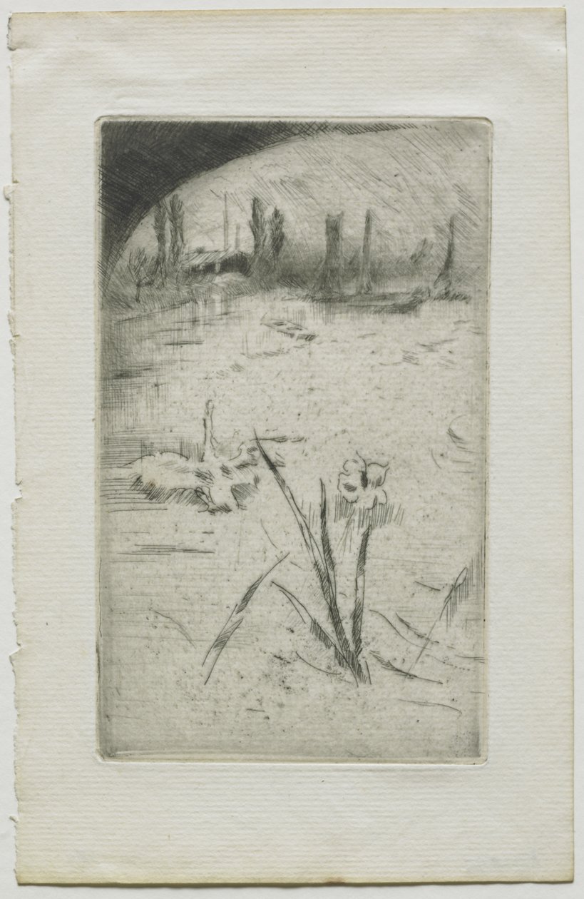 Cigno e iris da James McNeill Whistler