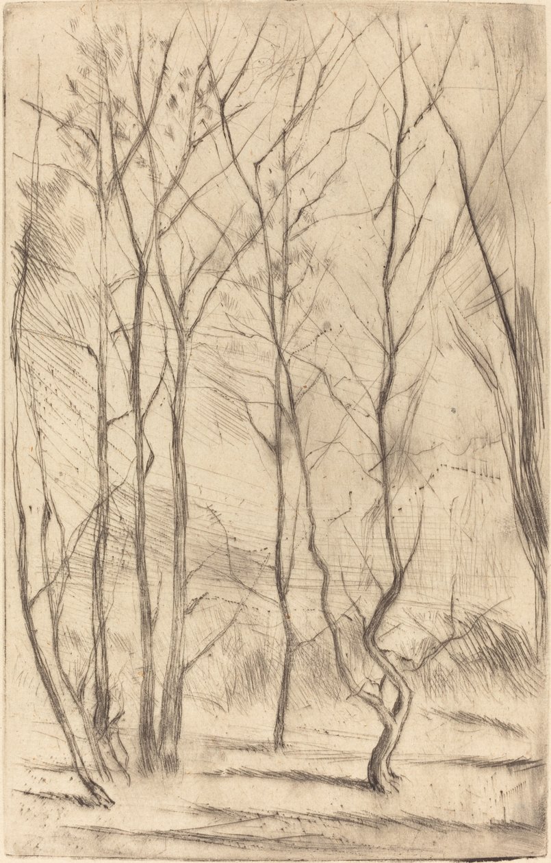 Il bosco della diga da James Abbott McNeill Whistler