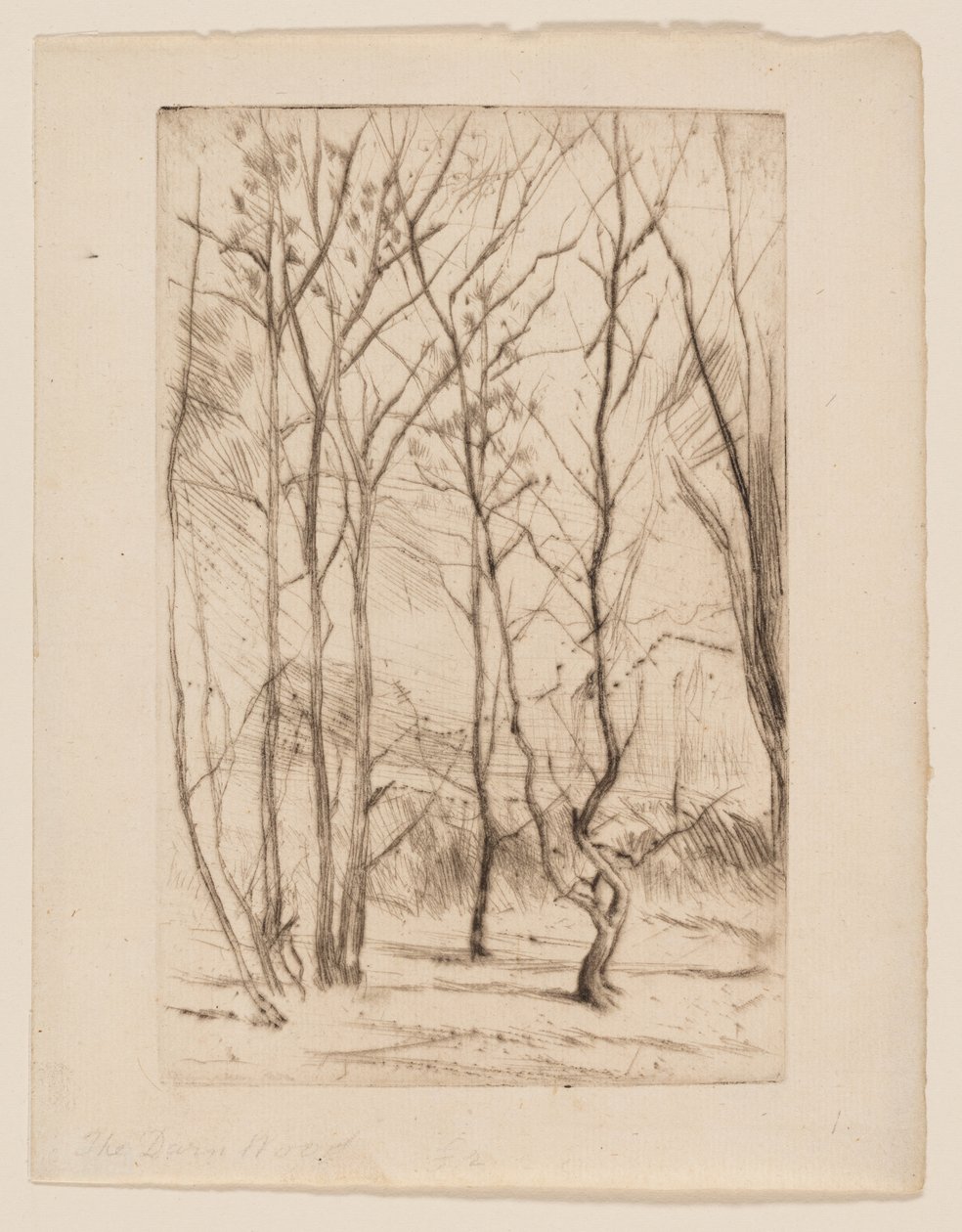 Il Bosco della Diga da James Abbott McNeill Whistler