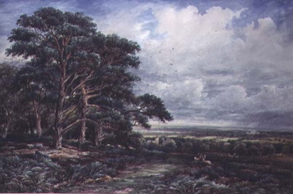 Bradgate Park vicino a Leicester da James Orrock