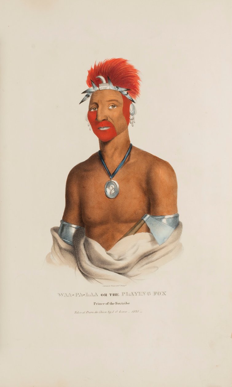 WAA-PA-LAA o la Volpe che gioca; Principe della Tribù della Volpe, da Il Portafoglio Aborigeno da James Otto Lewis