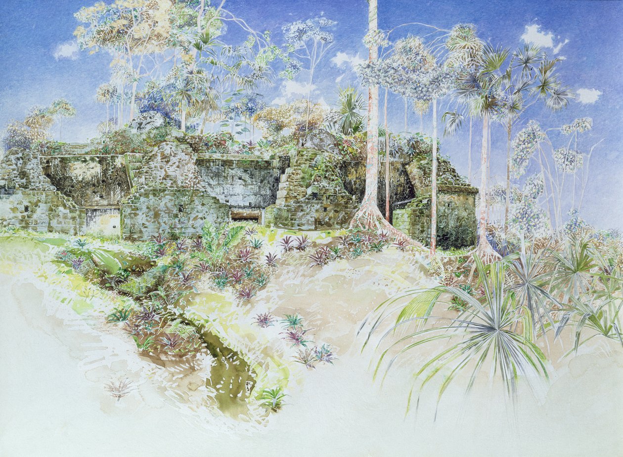 Tempio in Rovina, Tikal, Guatemala, 1984 da James Reeve