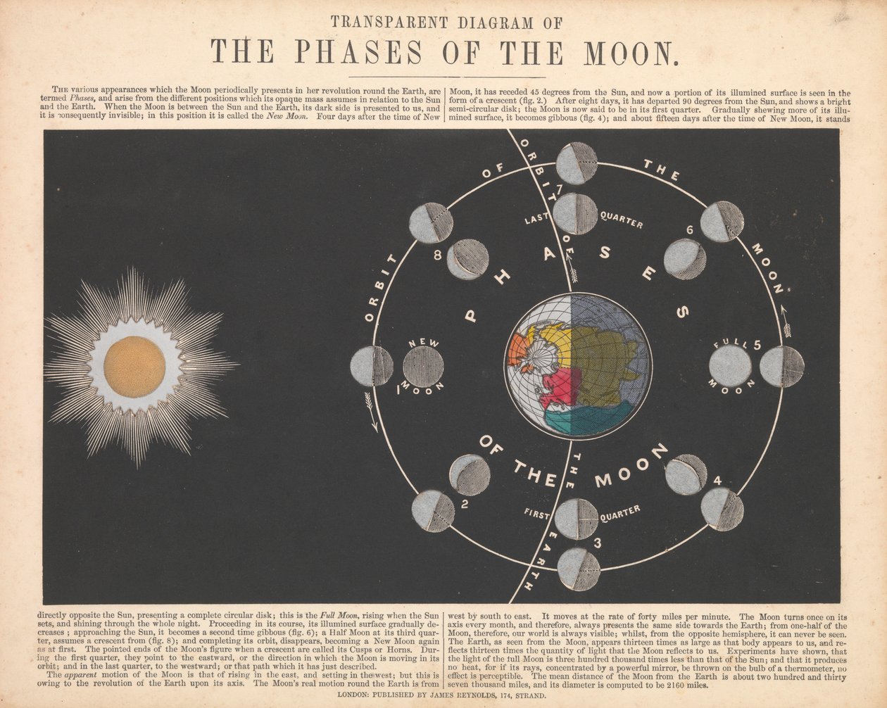 Le fasi della luna da James Reynolds