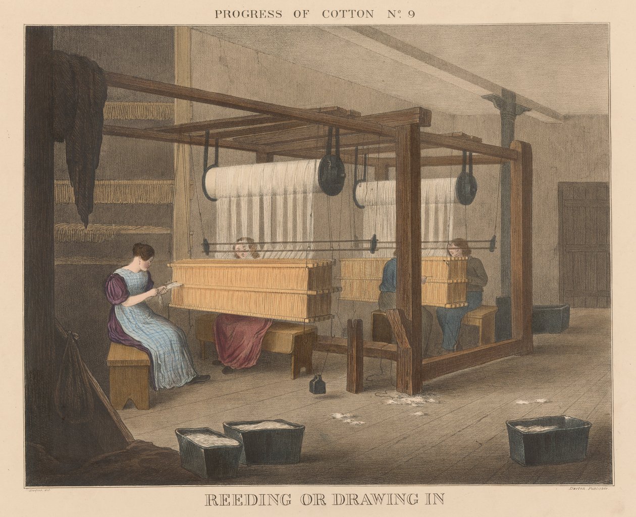 Progresso del cotone: #9 - Reeding o disegno da James Richard Barfoot