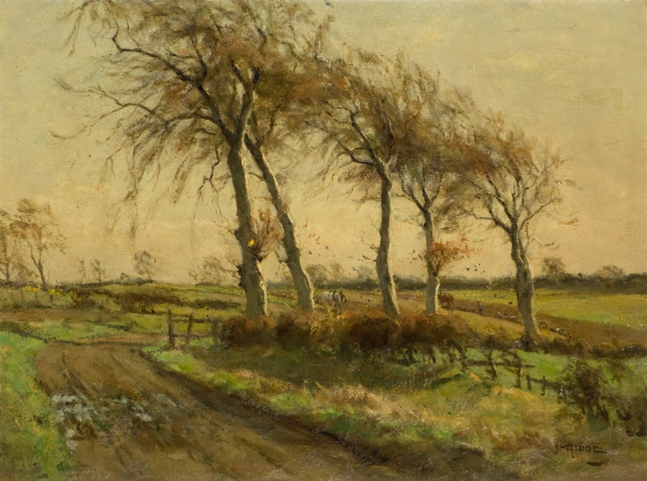 Una giornata aperta in inverno da James Riddel
