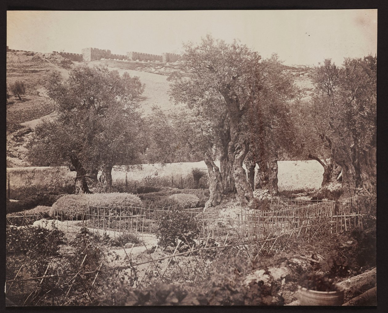 Getsemani [Gerusalemme. Monte degli Ulivi] da James Robertson