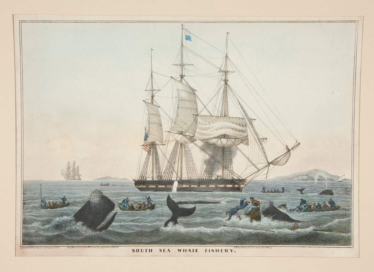Pesca di balene nel Mare del Sud da James S. Baillie