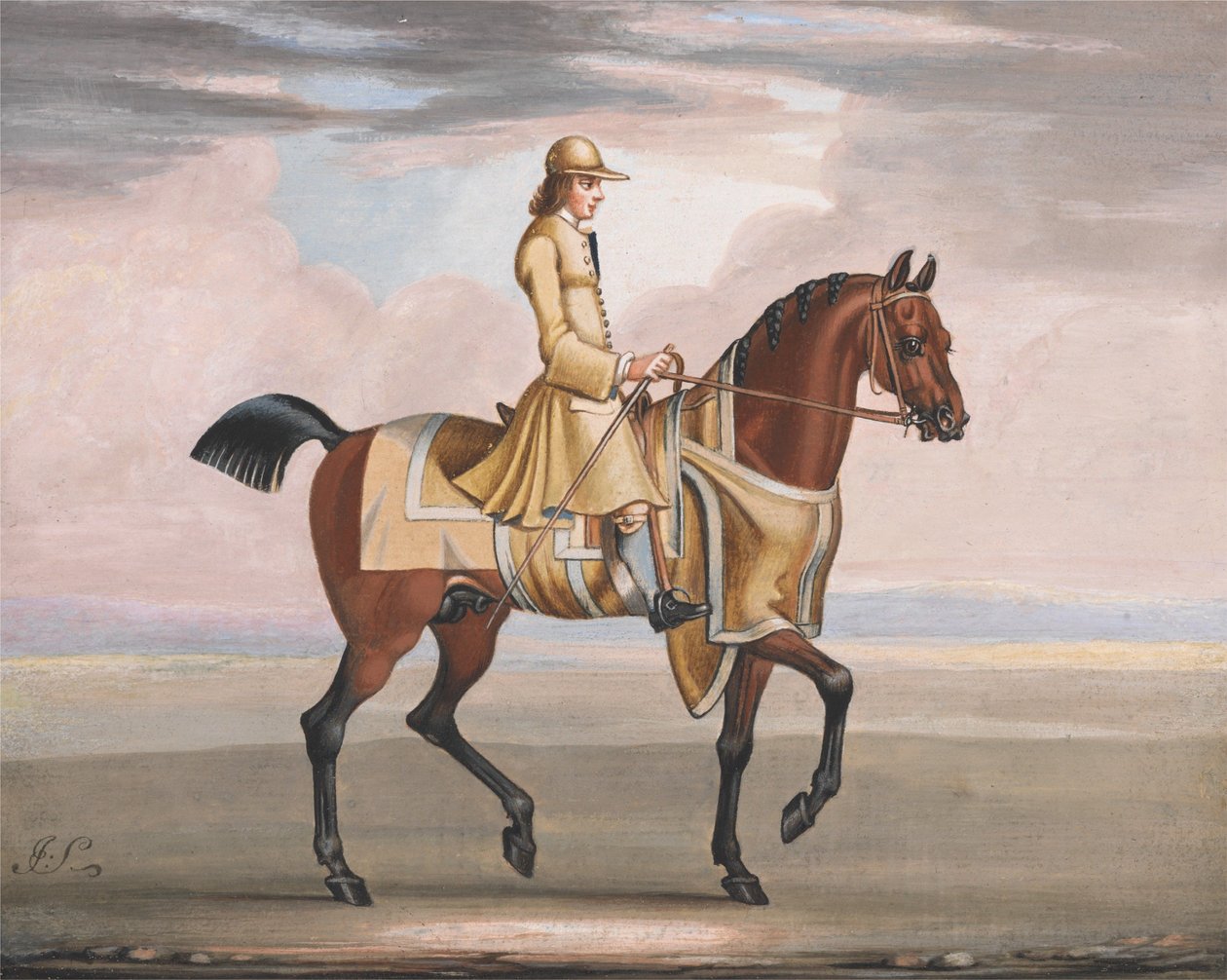 Un cavallo castano durante l