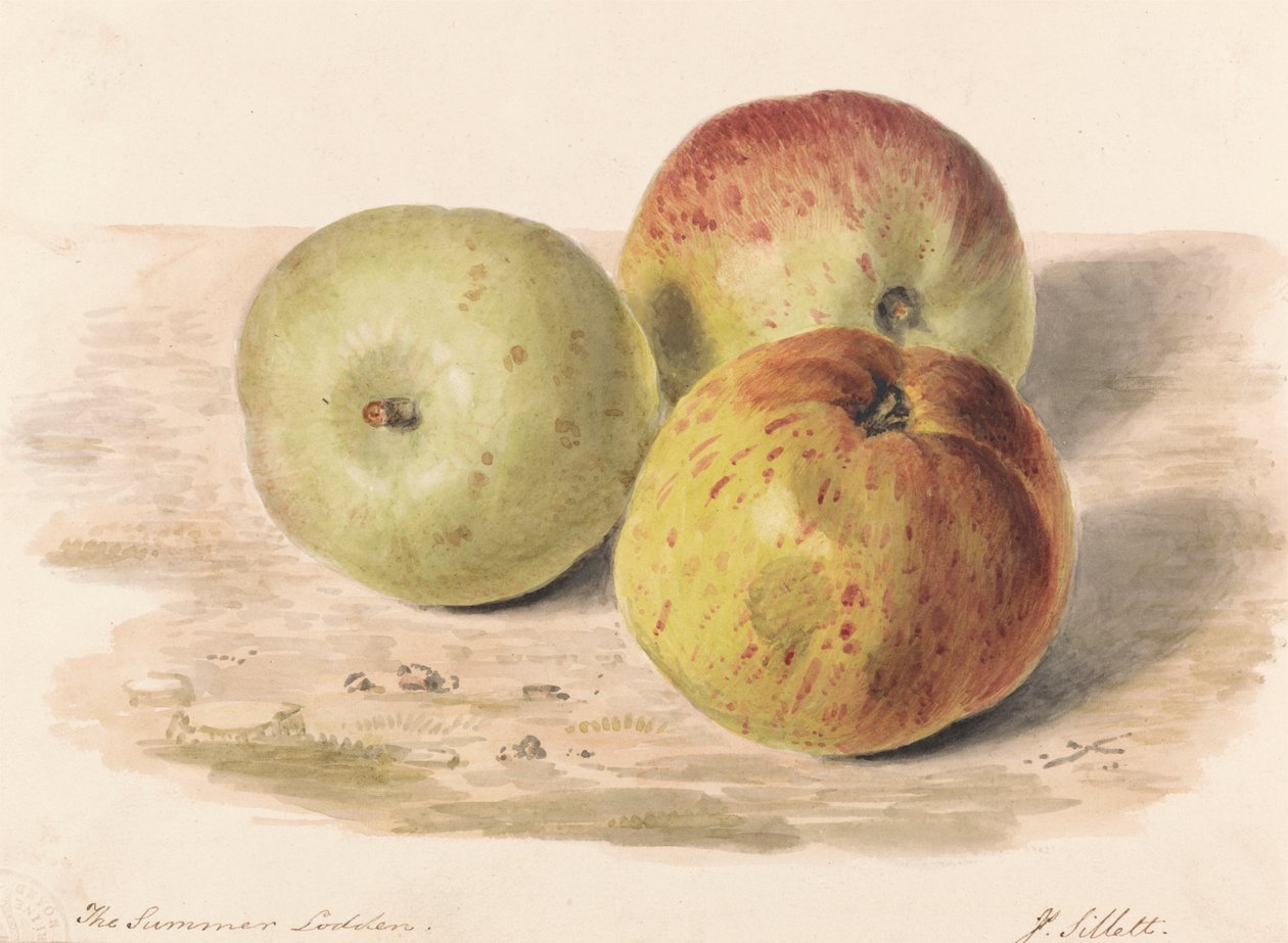 Il Lodden estivo, settembre 1832: uno studio di natura morta con tre mele da James Sillett