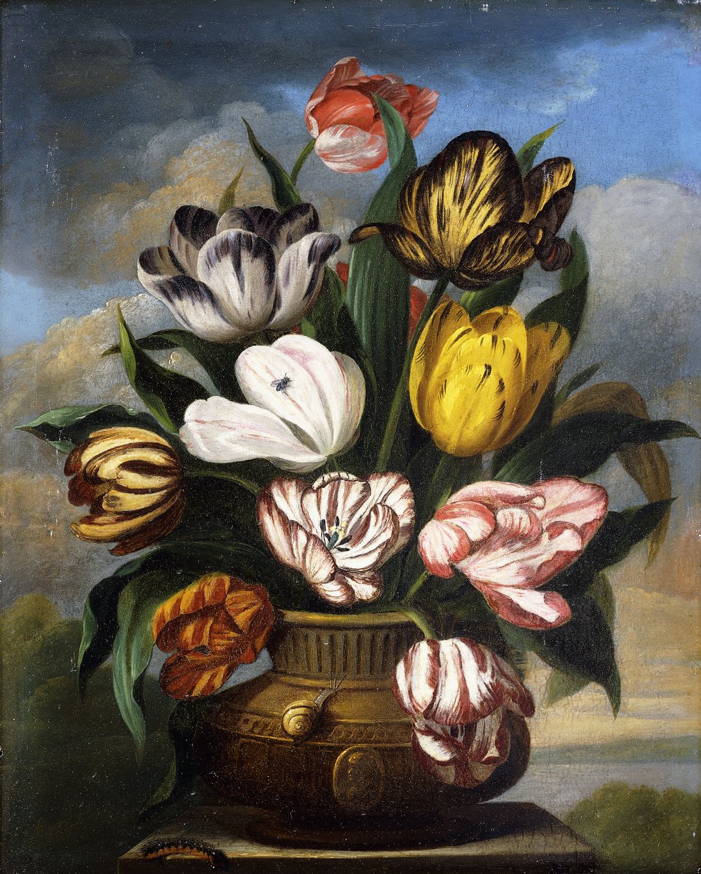 Tulipani in un vaso, con un bruco, una lumaca e una mosca, su un plinto in un paesaggio, 1826 da James Sillett