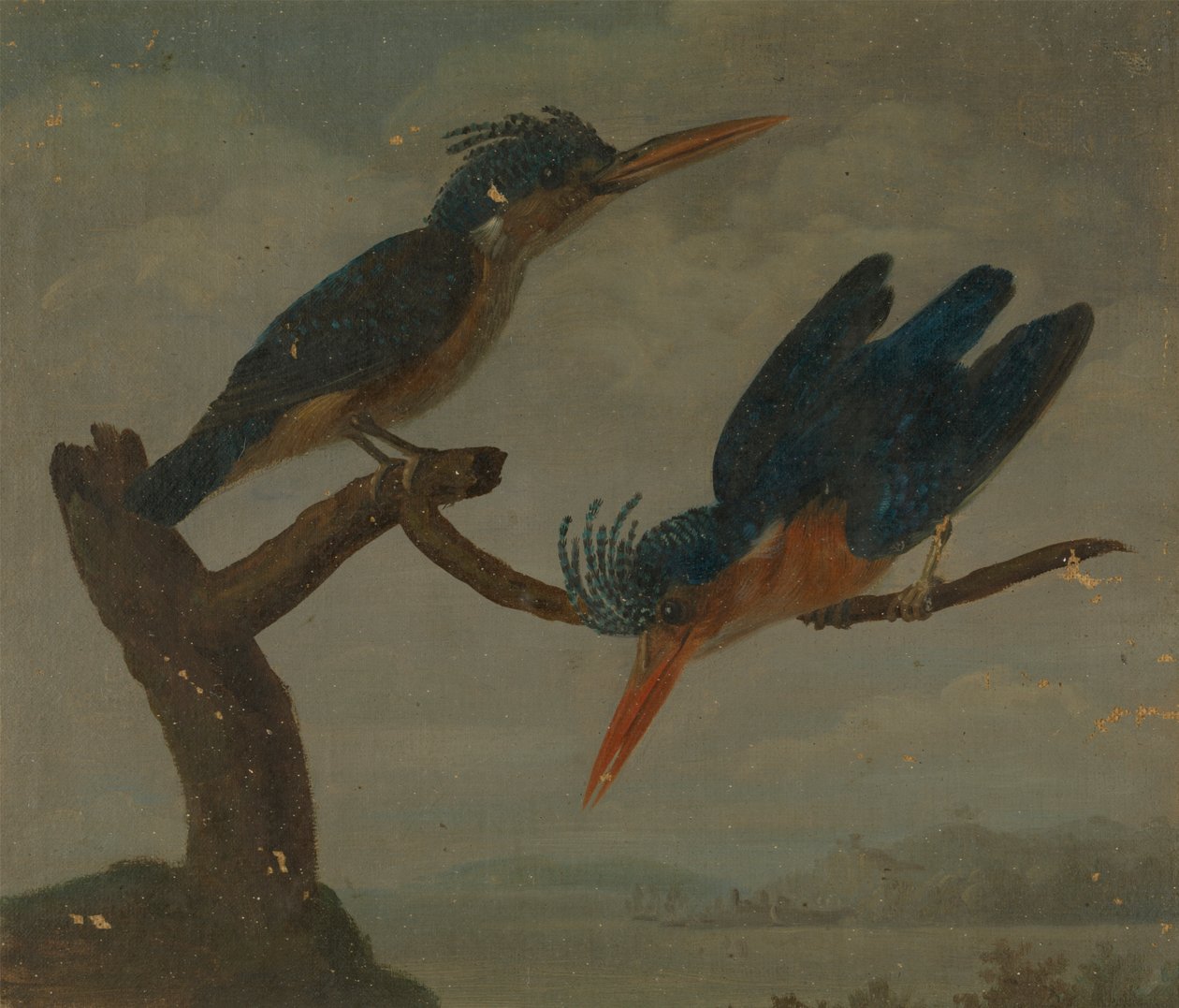 Due Martin Pescatori Accanto a un Lago da James Sowerby
