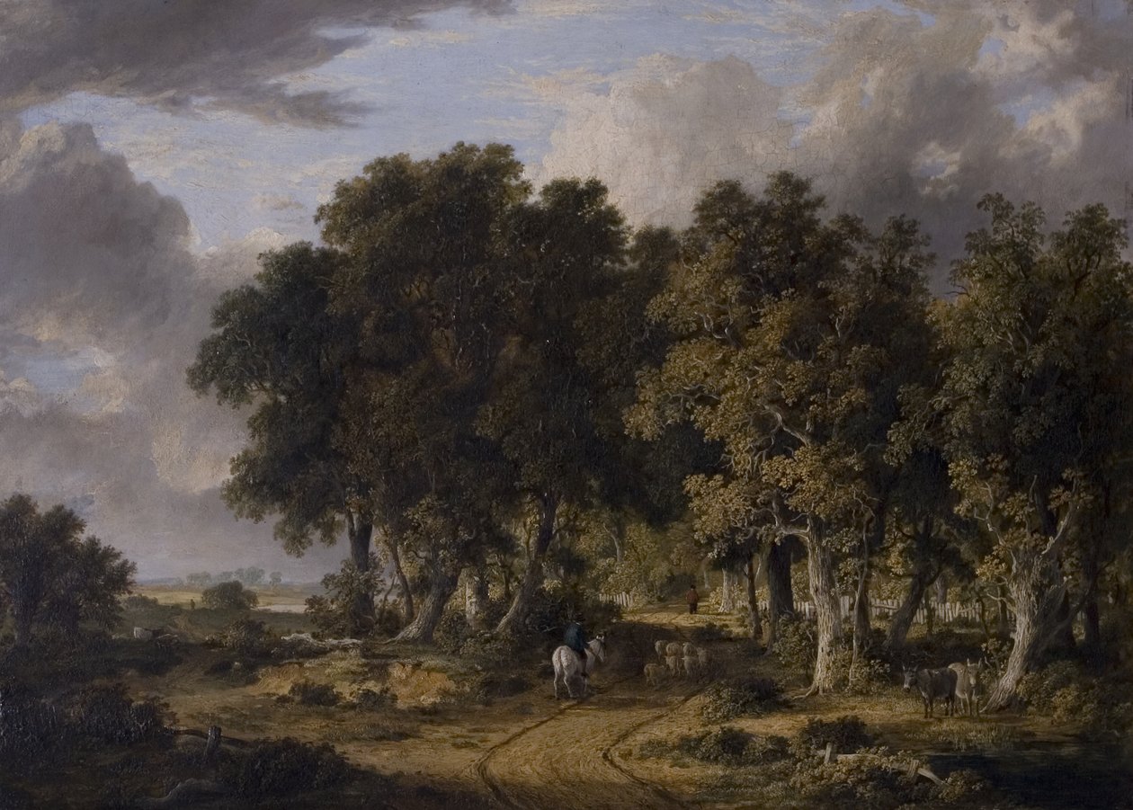 Una veduta nella New Forest, metà XIX secolo da James Stark