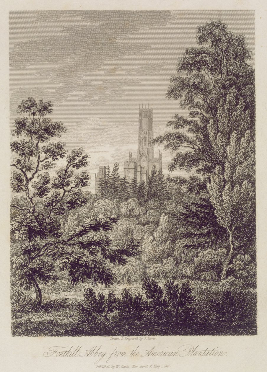 Fonthill Abbey dalla piantagione americana, pubblicato da W. Clarke, New Bond Street, 1812 da James Storer