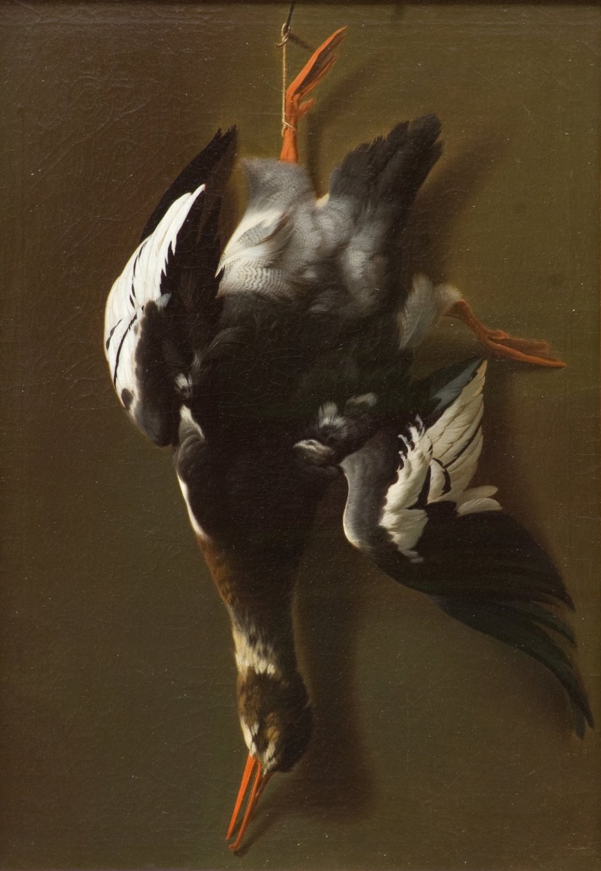 Uccelli morti, c.1815 da James Thom