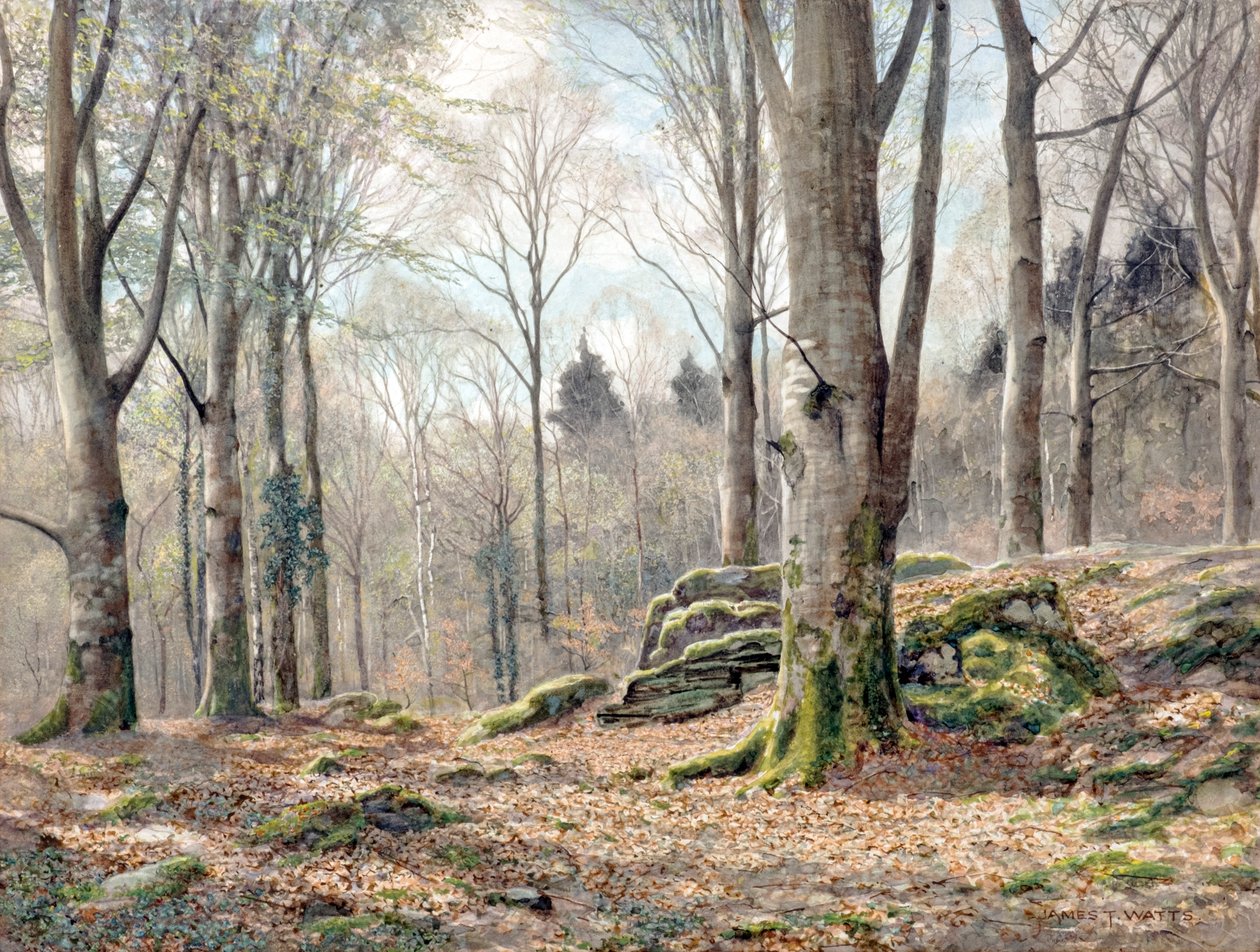 Un bosco gallese da James Thomas Watts