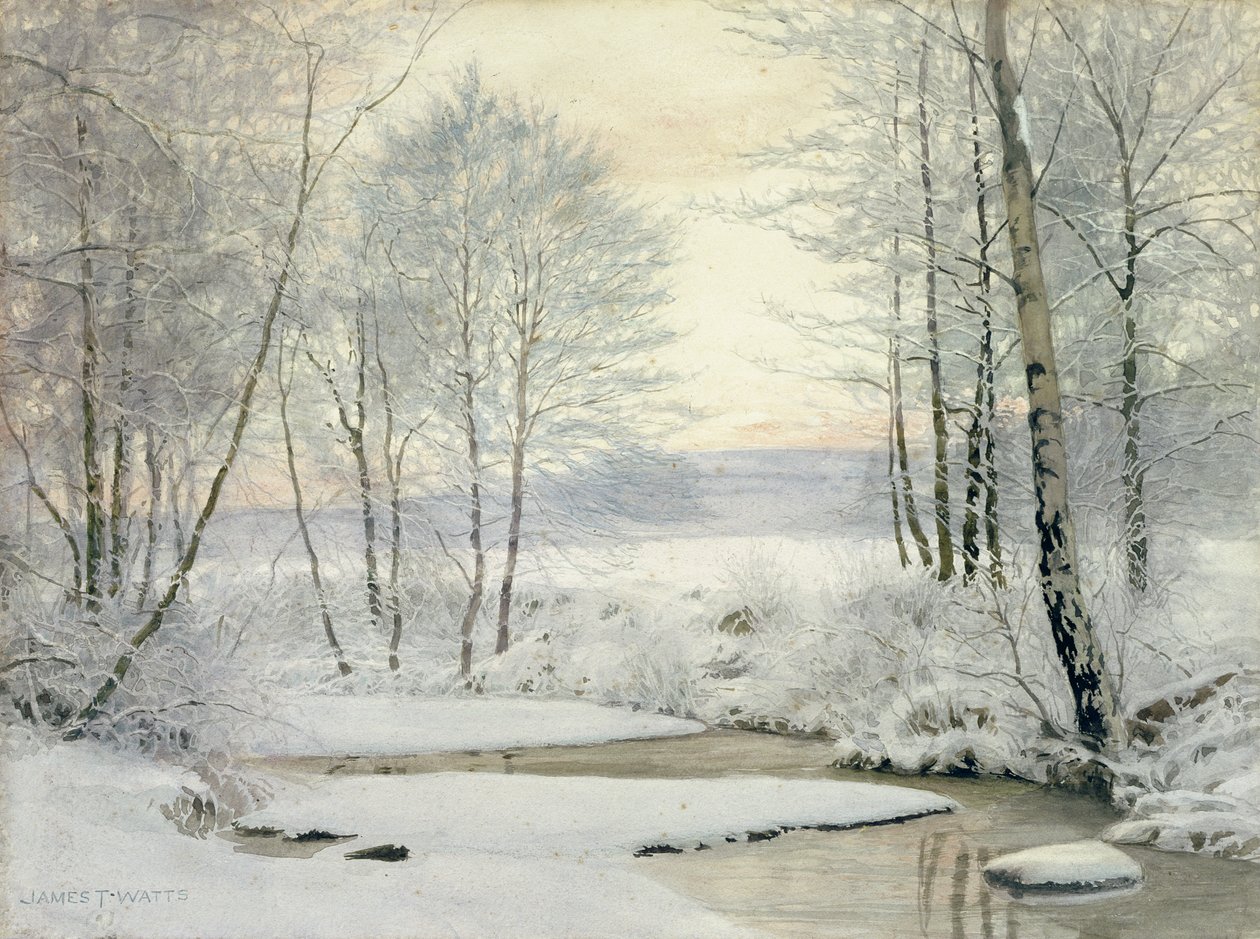 Tramonto invernale da James Thomas Watts