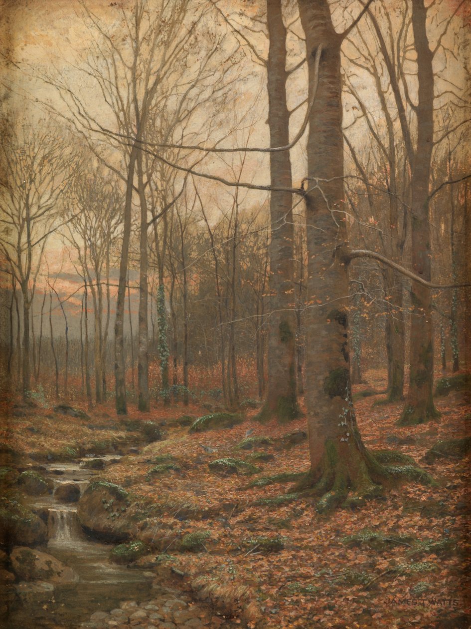 Inverno nel bosco, Betws-y-Coed (acquerello e bodycolor) da James Thomas Watts