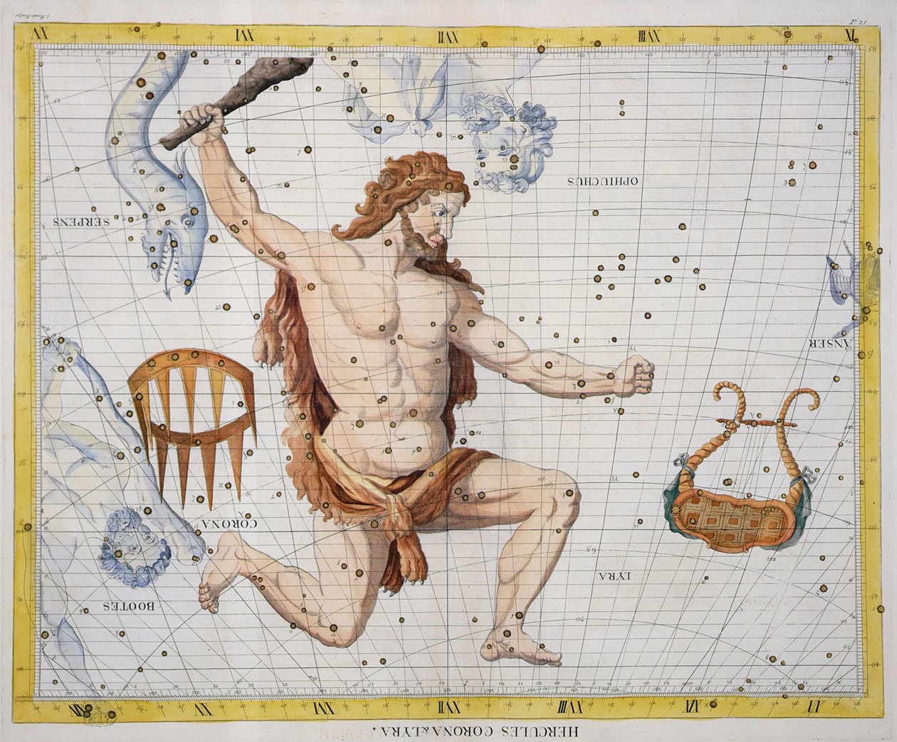 Costellazione di Ercole con Corona e Lira, tavola 21 da 