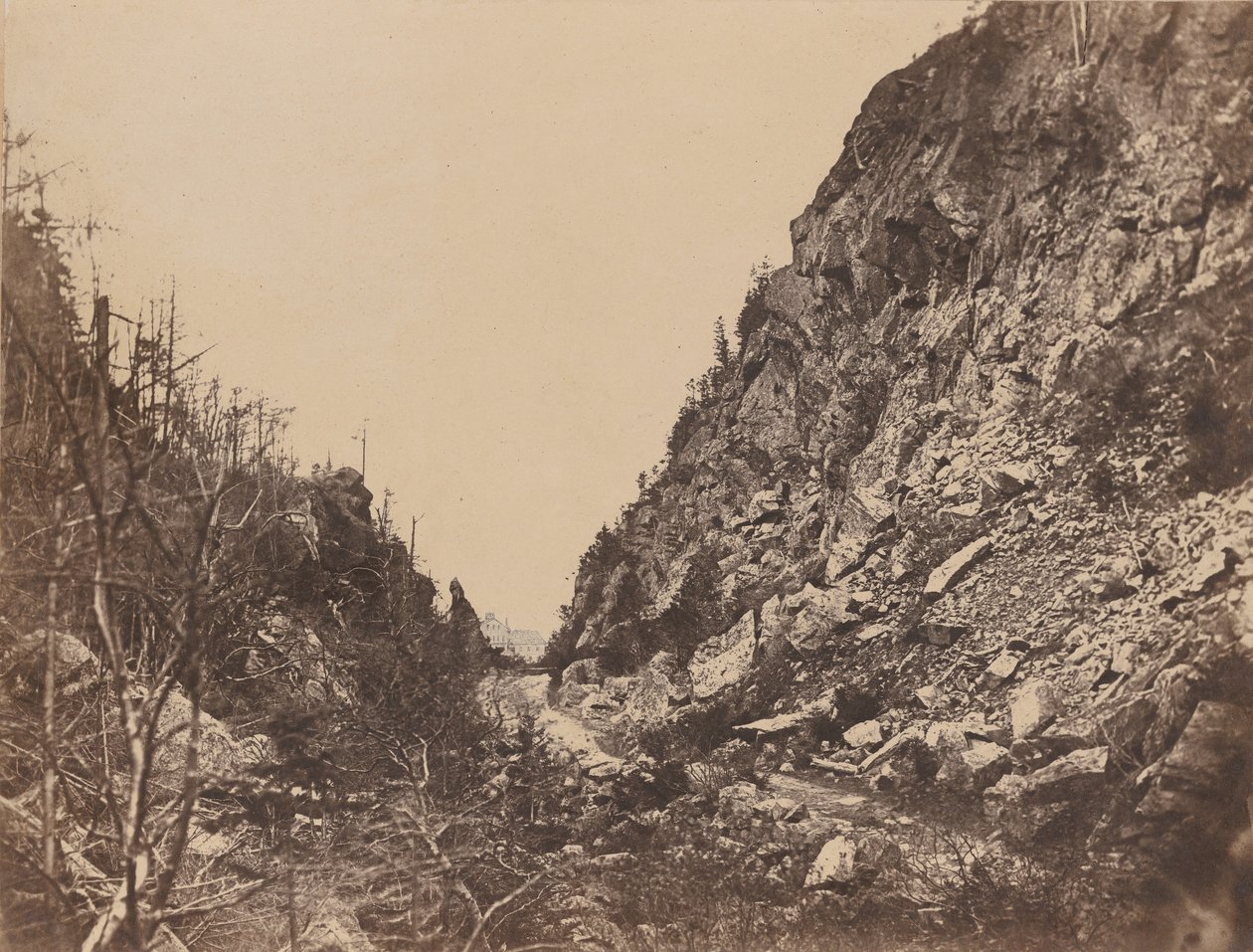 Testa del White Mountain Notch, Crawford House da James Wallace Black