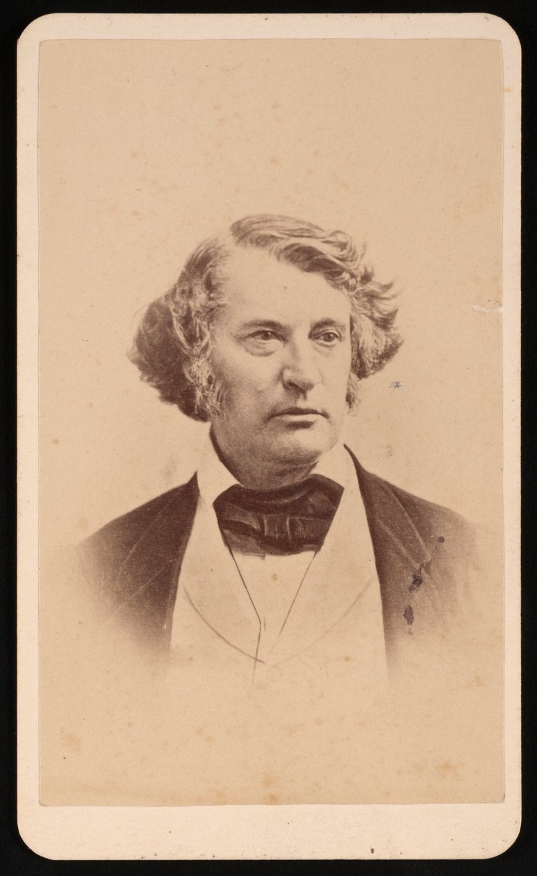 Ritratto di Charles Sumner 1811-1874, prima del 1874 da James Wallace Black