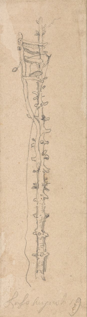 Una campana su un palo dentellato da James Ward