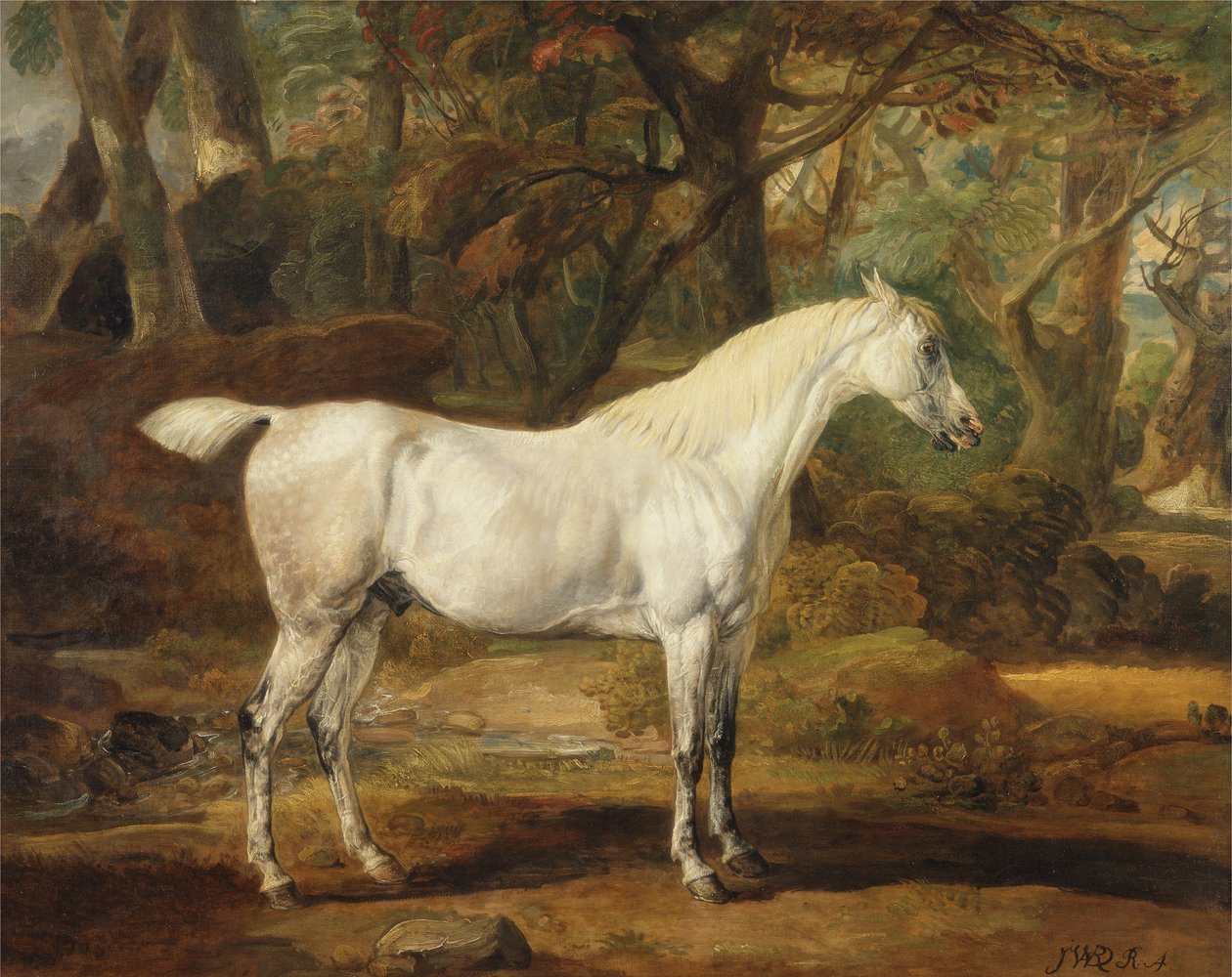 Un Cavallo Arabo Grigio, Proprietà di Sir Watkin Williams-Wynn da James Ward