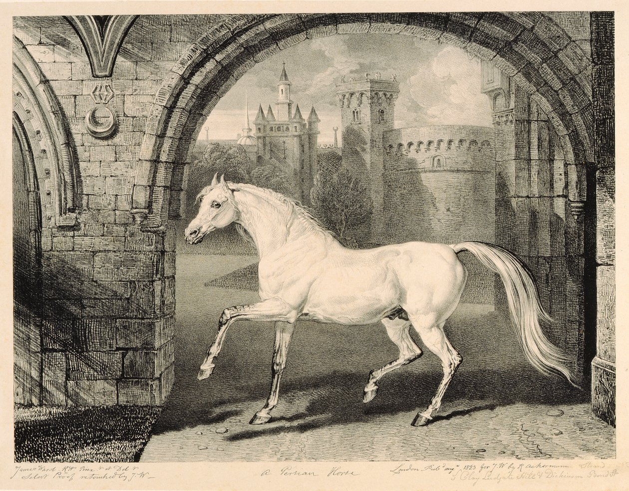 Un Cavallo Persiano, da 