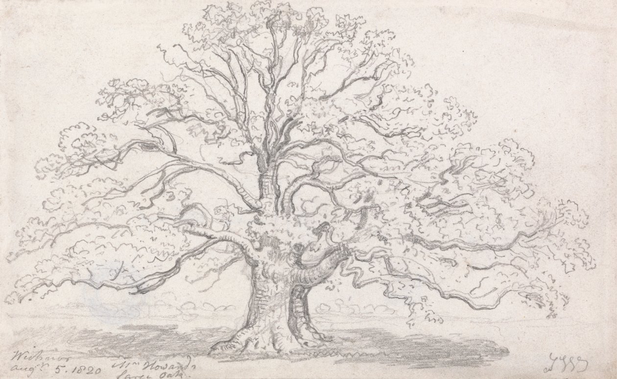 La grande quercia del Sig. Howard, 5 agosto 1820 da James Ward