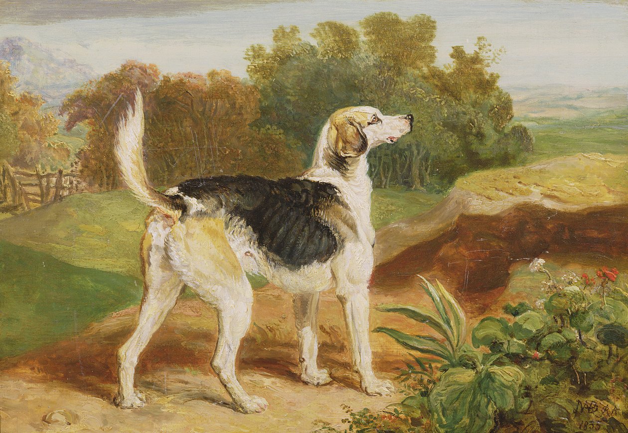 Ravager, uno dei Lambton Hounds da James Ward