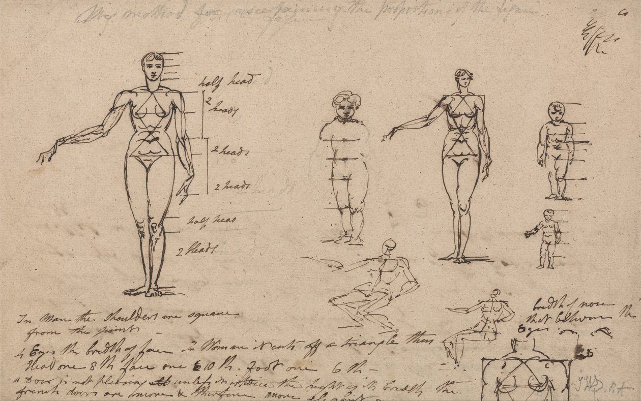 Studi di anatomia, misure e scrittura da James Ward