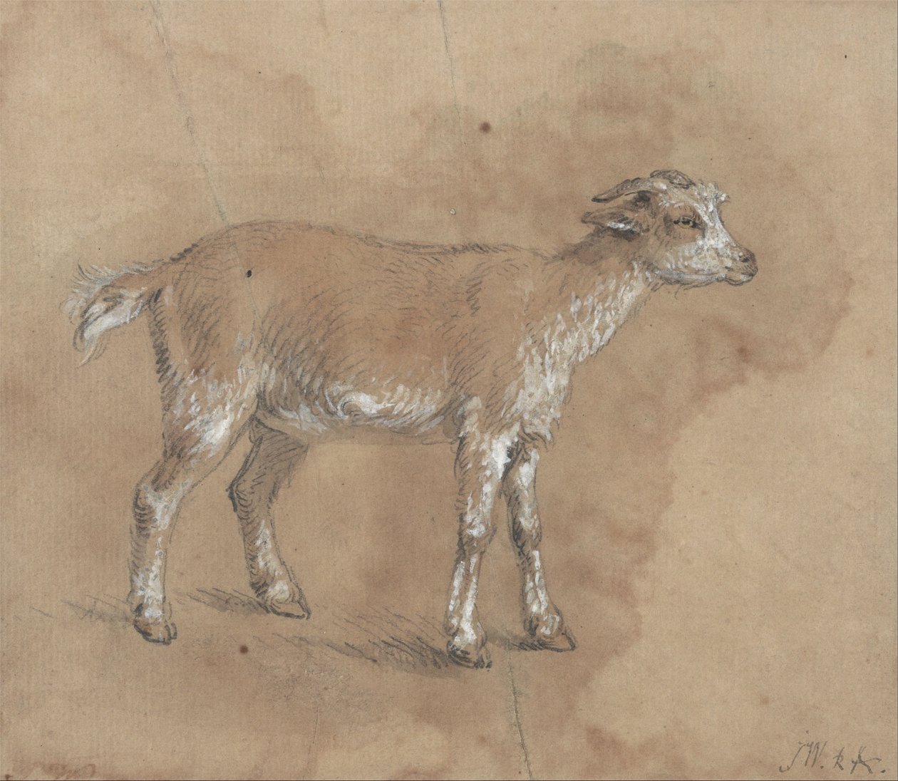Studio di un bambino da James Ward