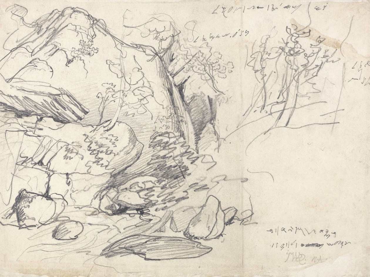Studio di una montagna con alberi da James Ward