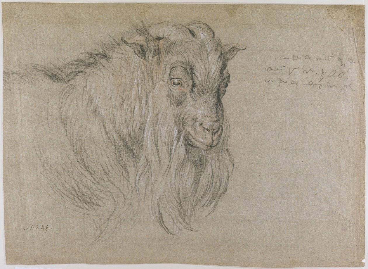 Studio della Testa di un Ariete da James Ward
