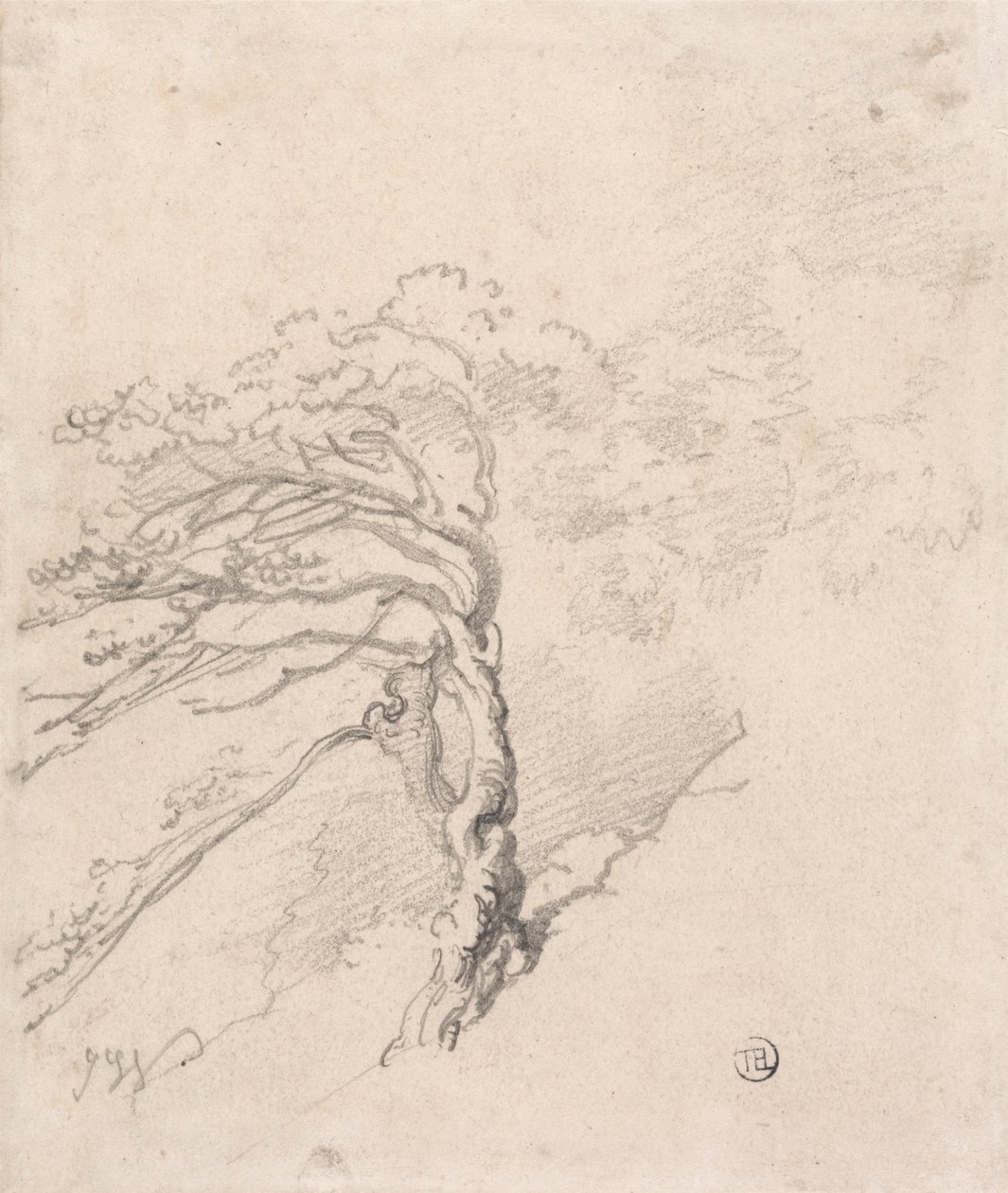 Albero su una collina da James Ward